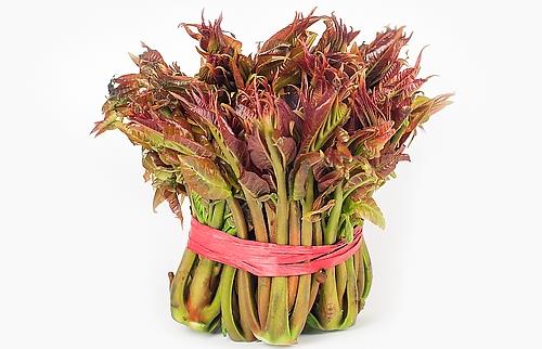 強健老人身體 初春養生吃11種蔬菜