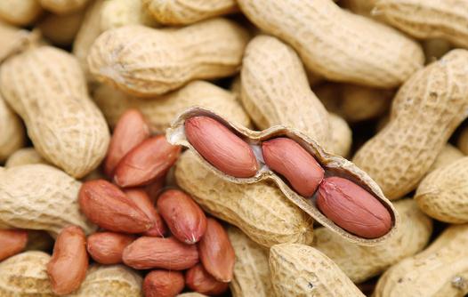 花生能提高智力?盤點花生的功效