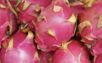 可以促進消化的食物 讓你快速瘦起來