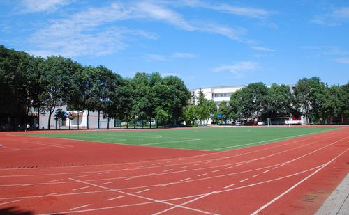 有助學生發育的幾項健身運動