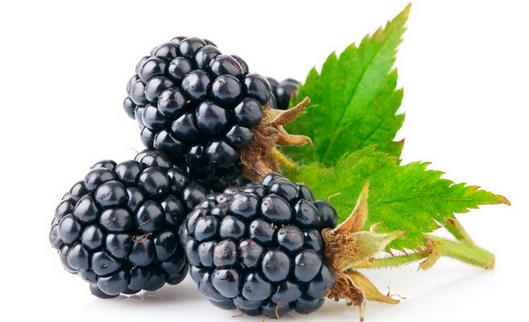 桑葚的作用與功效 桑葚的營(yíng)養(yǎng)價(jià)值有哪些