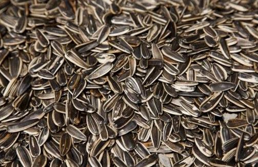 晚上吃什么有助于改善睡眠？