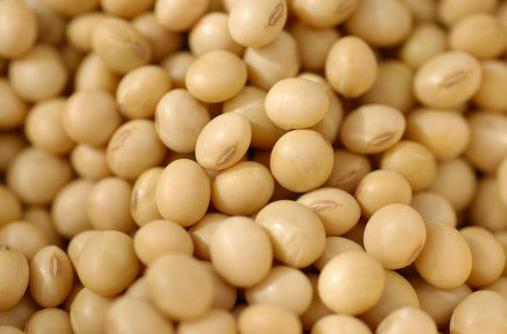 吃什么對乳房好?保護乳房的食物推薦