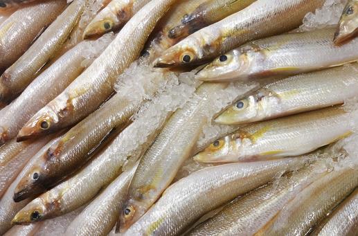 男人吃什么可以壯陽(yáng)?壯陽(yáng)補(bǔ)腎的四類食物推薦