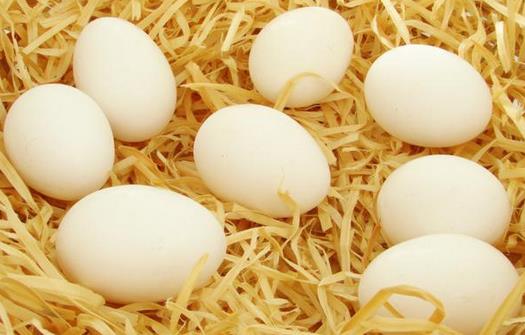 感冒不宜吃哪些食物？感冒患者飲食禁忌