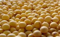 女人吃什么少得病？女性健康飲食方案推薦