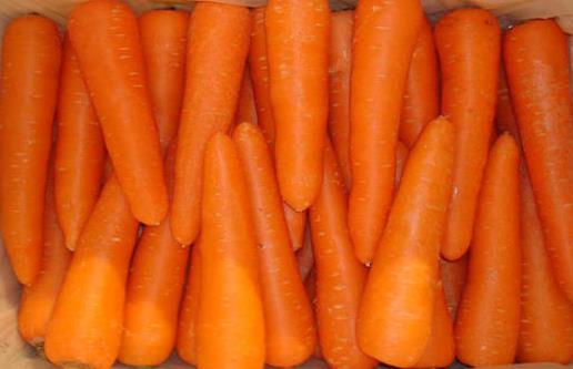 四種蘿卜各有什么營養(yǎng)？紅白蘿卜混吃是禁忌