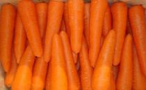 四種蘿卜各有什么營養？紅白蘿卜混吃是禁忌