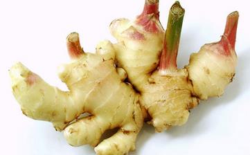 生姜_生姜的功效與作用,生姜蜂蜜水,生姜紅糖水的作用,營養價值 生姜_生姜的功效與作用,生姜蜂蜜水,生姜紅糖水的作用,營養價值