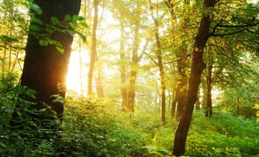 選購家用空氣凈化器有什么誤區?