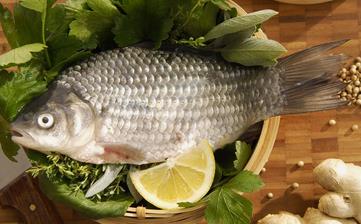 鯽魚_鯽魚的營養(yǎng)價值,營養(yǎng)成分,功效與作用,鯽魚的做法大全