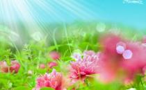 選擇空氣凈化器要看哪些參數？