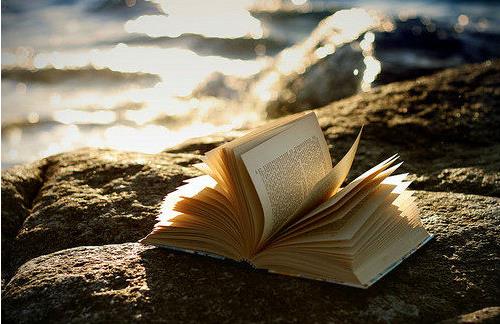 有益于中小學生眼睛的食物