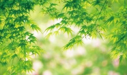 中國空氣凈化器行業的特征