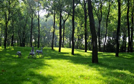 空氣凈化器技術流派的利弊分析