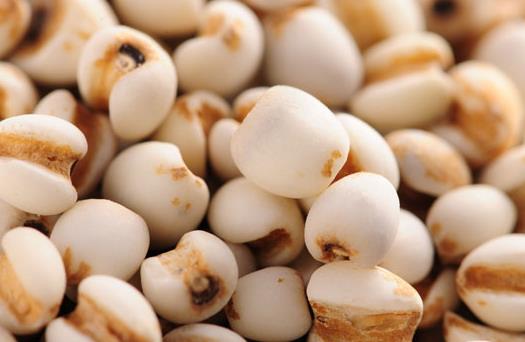 孕婦飲食禁忌:九種食物會導致流產