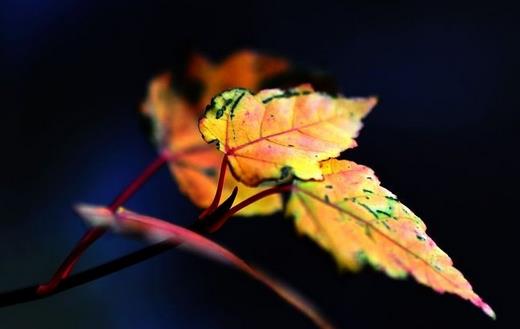 令你備感疲憊的六個心理盲點