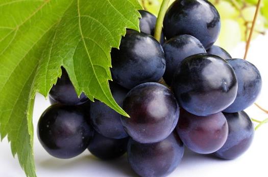 女性補血吃什么好？冬季補血食物推薦