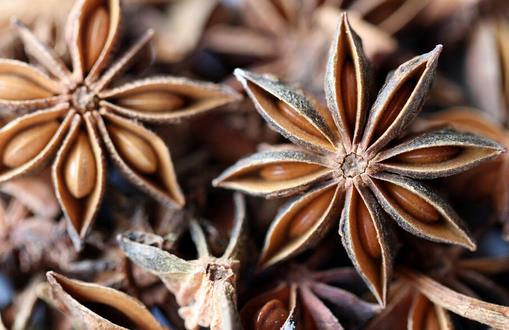 八角有什么功效?八角的用法介紹