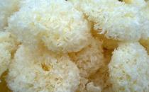 怎么挑選好銀耳？教你辨別銀耳好壞的方法