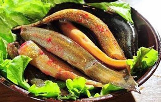 弱精癥是由哪些因素引起的