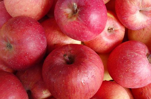 膽固醇過高吃什么?12種食物助你降低膽固醇