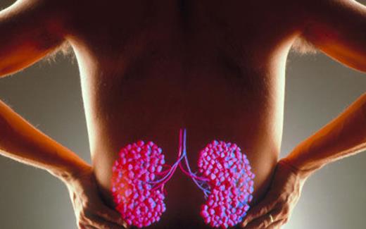 養腎保腎要怎么做？