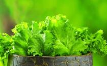 冬季排毒吃什么好？11種食物吃掉體內毒素