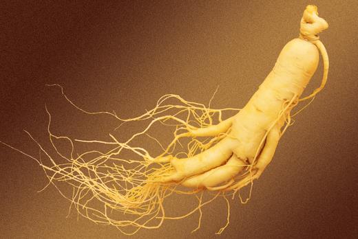 老人吃人參好嗎?哪些老人不能吃人參?