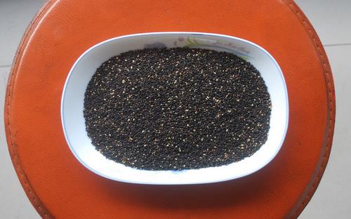 電腦工作者易脫發 可多吃大豆黑芝麻