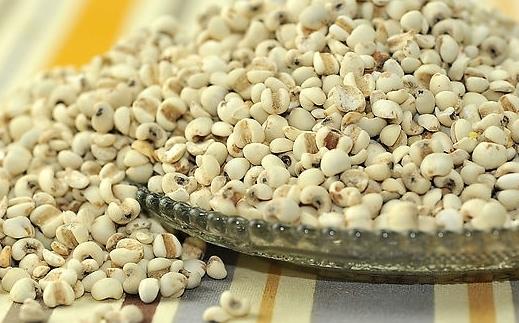 體內(nèi)濕氣重吃什么好？去除濕氣的食物推薦