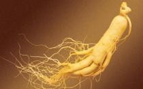 老人吃人參好嗎？哪些老人不能吃人參？