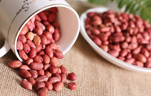 白領必備的健康零食