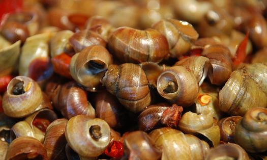 女性經(jīng)期不能吃什么？經(jīng)期飲食的宜與忌