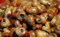 女性經(jīng)期不能吃什么？經(jīng)期飲食的宜與忌