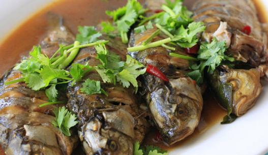 冬季吃哪些魚養(yǎng)生效果好