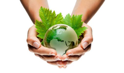 環(huán)保酵素的作用與危害