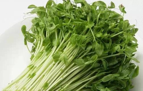 吃什么瘦臉？十款食物幫你成就小V臉