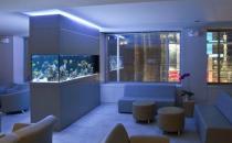 好風水魚缸擺放實例-魚缸怎么擺放才正確？