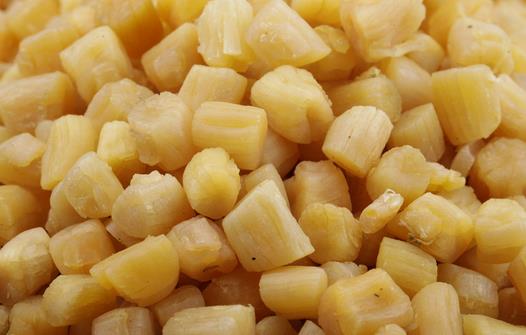 補腎的食物有哪些？12種天然補腎圣品推薦