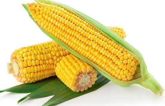 青少年記憶力很重要 增強記憶力吃什么好?