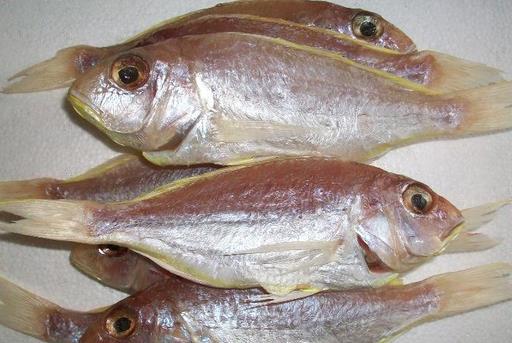 什么是冰鮮食品？如何區(qū)分冰鮮魚和冰凍魚？