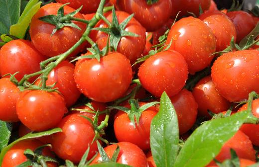 女人養(yǎng)顏防輻射 防輻射食物大搜羅