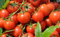 女人養顏防輻射 防輻射食物大搜羅