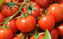 吃什么保護(hù)眼睛？白領(lǐng)電腦族護(hù)眼飲食盤點(diǎn)