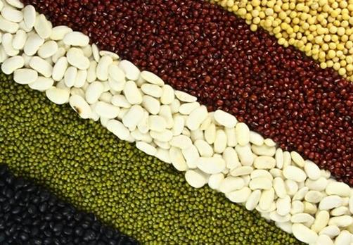 秋天吃什么對皮膚好?五豆食譜助你滋養肌膚