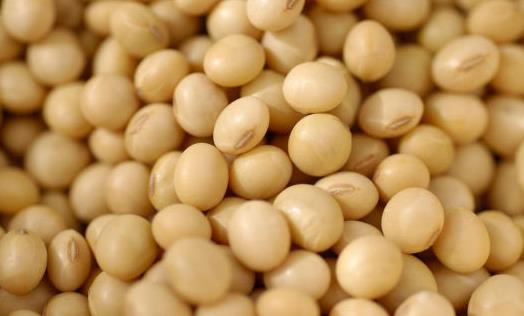 吃什么對乳房好?保護乳房的9種食物推薦