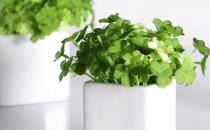 改善辦公環(huán)境 遠(yuǎn)離輻射危害