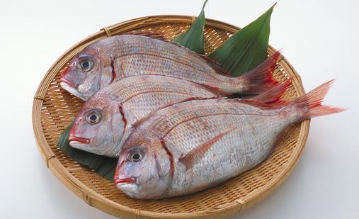 魚(yú)類的5大功效你知道嗎?