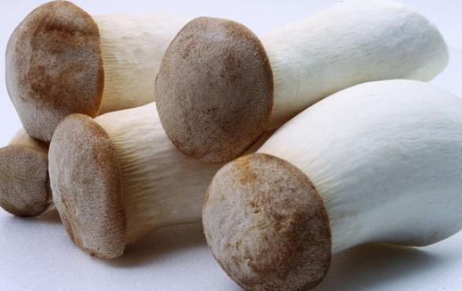 雞腿菇有什么營養價值？